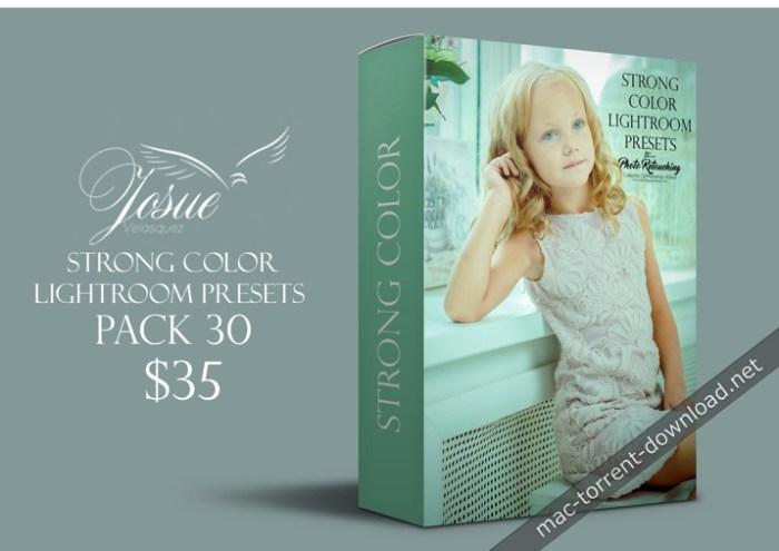 STRONG COLOR - LIGHTROOM PRESETS