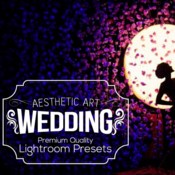Aesthetic wedding lightroom presets 298179 icon
