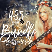 Pro lightroom presets bundle 400 icon