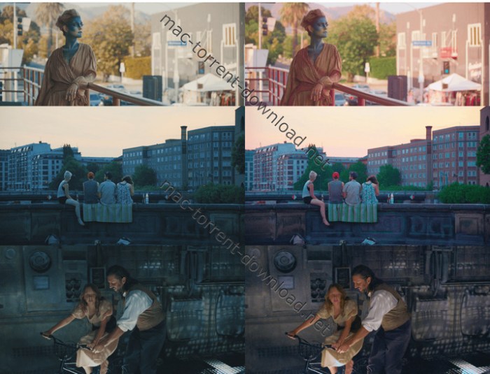 80_luts_color_grading_pack_by_iwltbap_mac_win.jpg 80_luts_color_grading_pack_by_iwltbap_mac_win