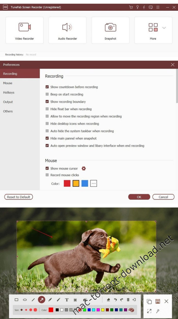 tunefab_screen_recorder_106
