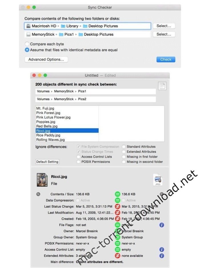 sync_checker_261.jpg sync_checker_261
