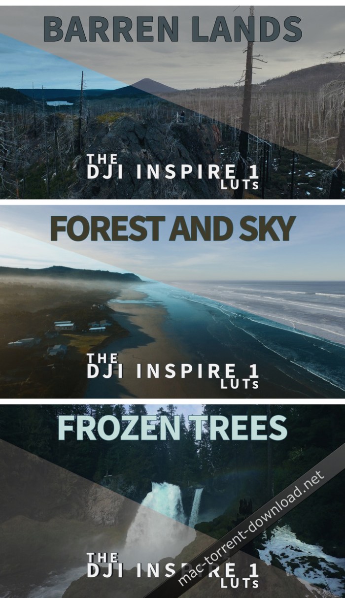 NeumannFilms - The DJI Inspire 1 LUTs