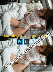 Tribe archipelago basecamp lr acr capture one styles icon