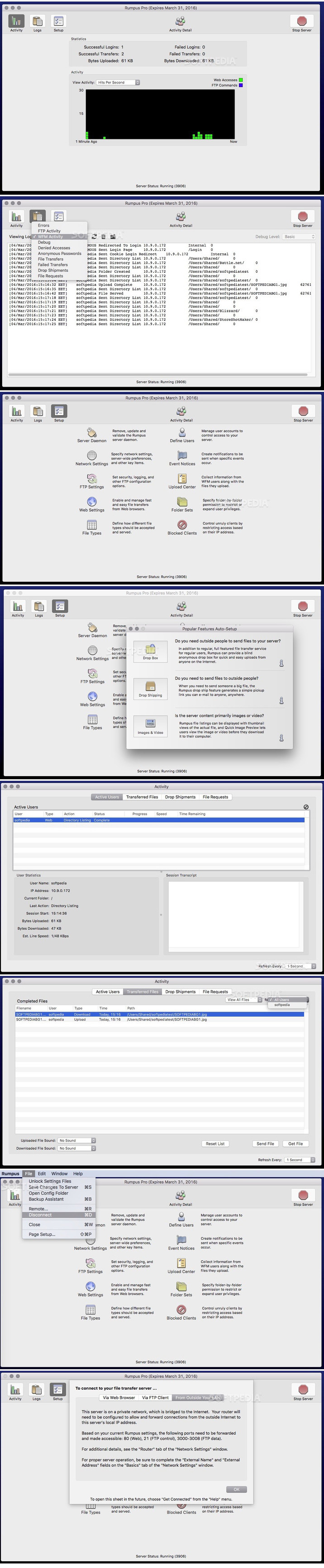 rumpus_pro_813.jpg rumpus_pro_813