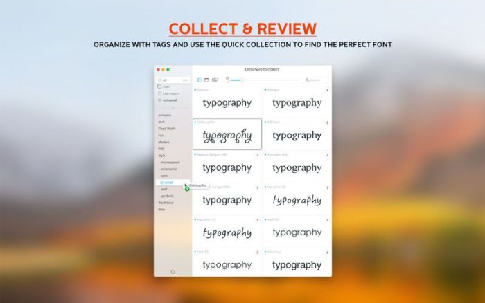 2_Typeface_2.jpg