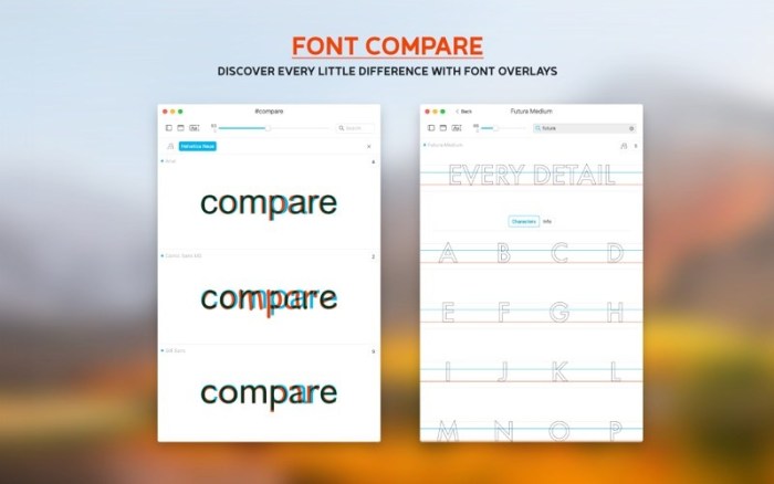 3_Typeface_2.jpg