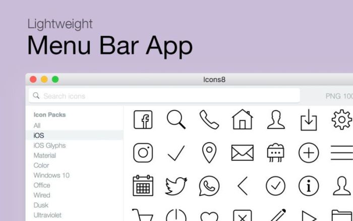 1_Icons8_Lite.jpg