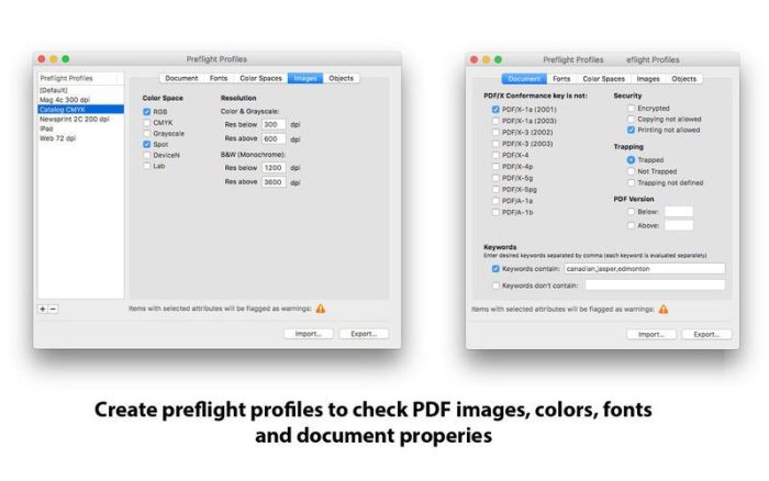 3_PDF_Checkpoint.jpg