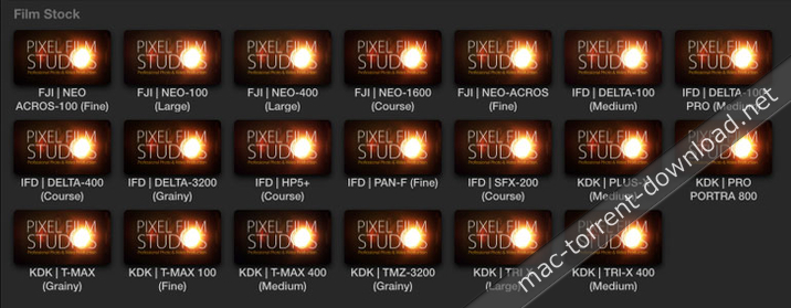 20 Film Stock Presets