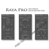raya_pro_panel_3_icon.jpg Raya pro panel 3 icon