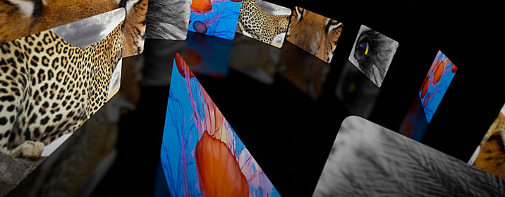 60 Unique Layouts for FCPX