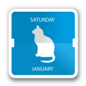 cal_cat_icon.jpg Cal cat icon