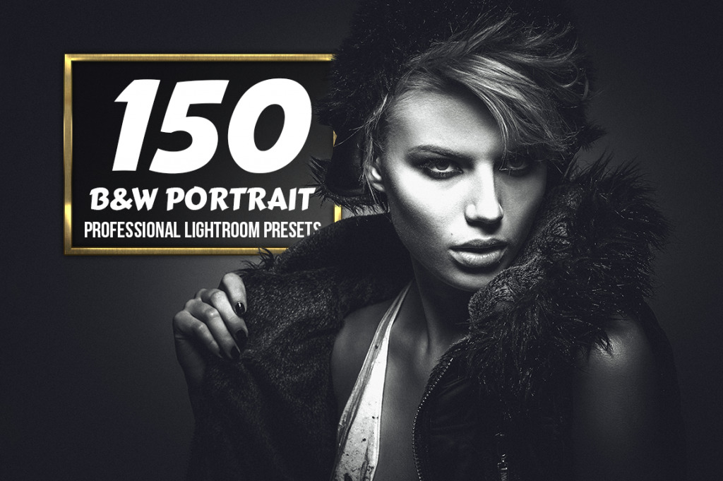 InkyDeals 1500plus Professional Lightroom Presets Bundle Screenshot 14