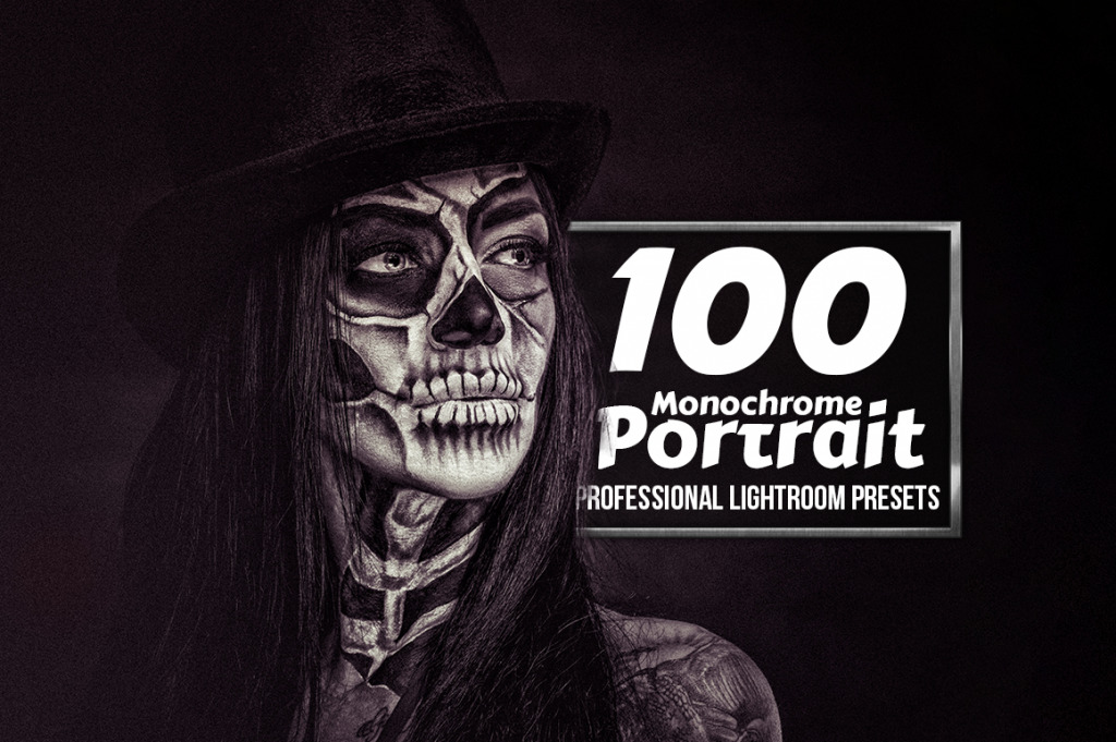 InkyDeals 1500plus Professional Lightroom Presets Bundle Screenshot 17