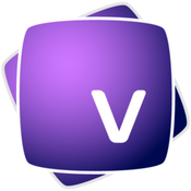 Vectoraster