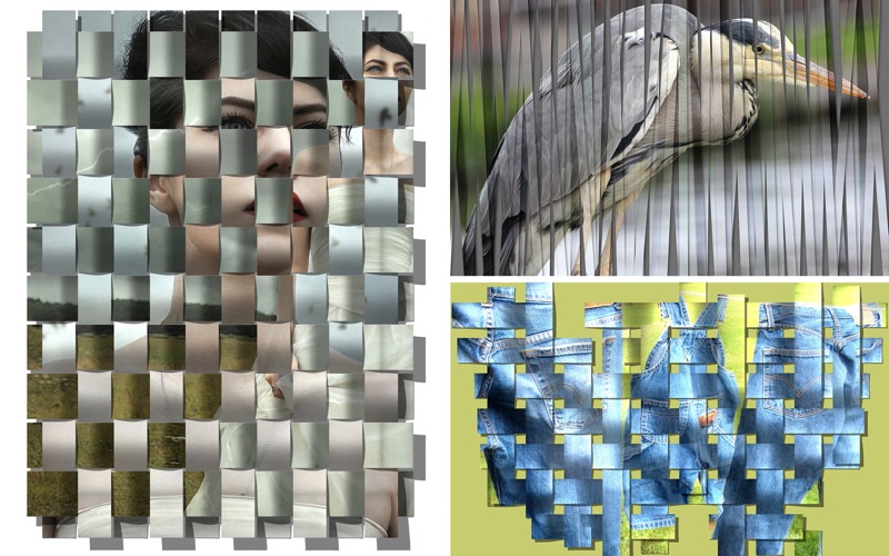 3_Photo_Formation.jpg