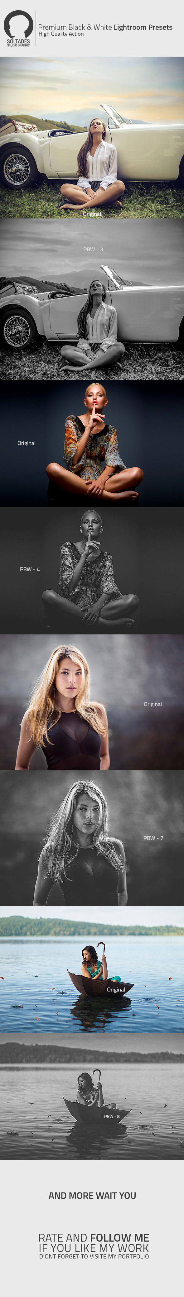 Premium Black & White Lightroom Preset