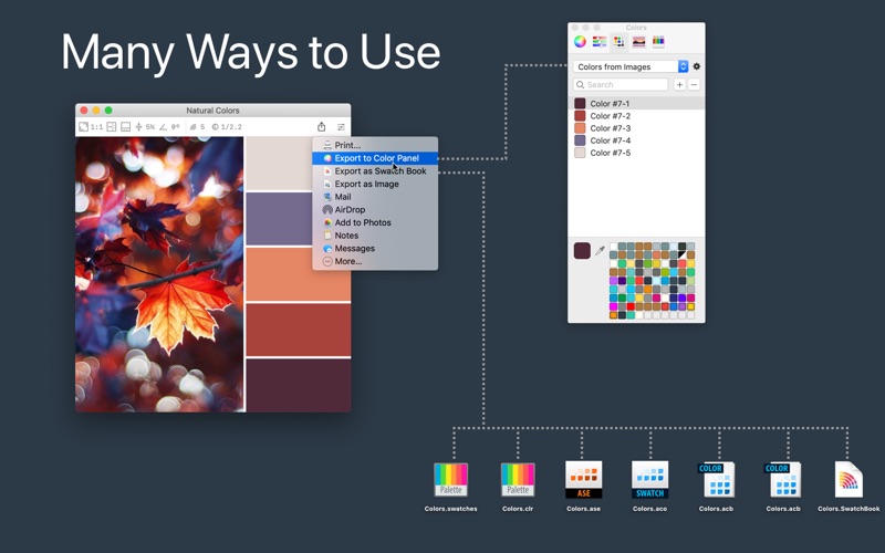 Color Palette from Image Screenshot 4