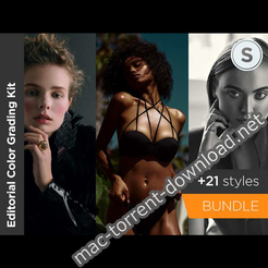 Phaseone editorial color grading style kit icon
