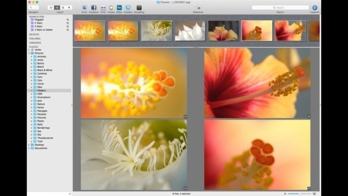 Lyn 112 Screenshot 02 1i7djh7n