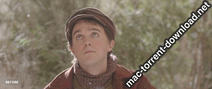 LookLabs Digital Film Stock 19 Film Emulation LUTs Win Mac Screenshot 03 1febewpn