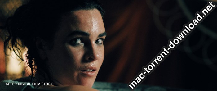 LookLabs Digital Film Stock 19 Film Emulation LUTs Win Mac Screenshot 05 1febewpn