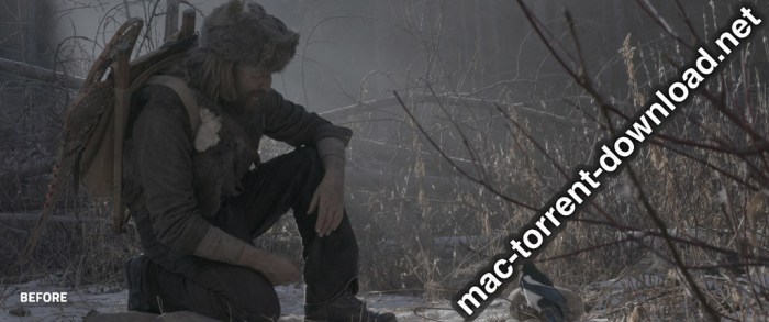 LookLabs Digital Film Stock 19 Film Emulation LUTs Win Mac Screenshot 06 1febewpn