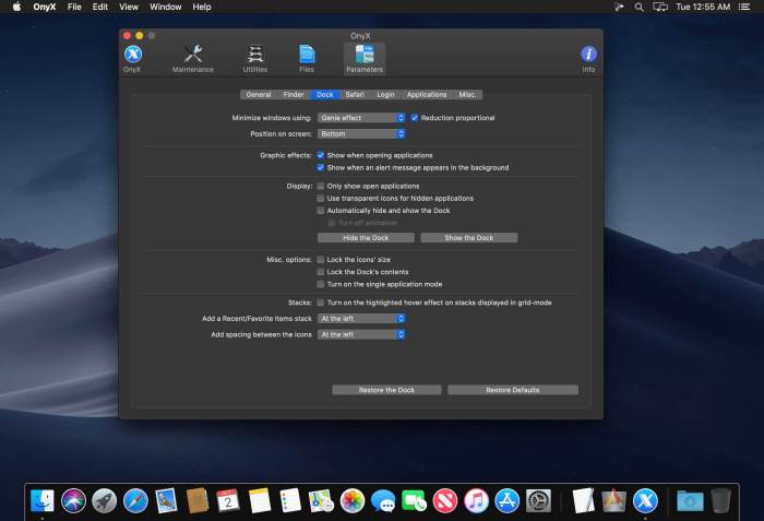OnyX 367 Screenshot 03