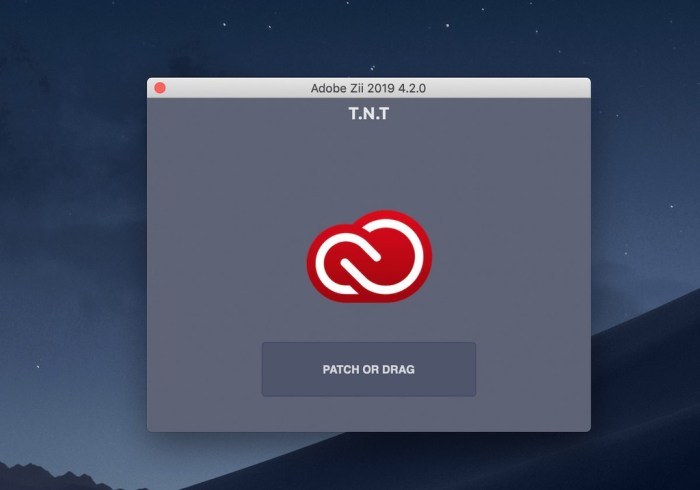Adobe Zii 444 CC2019 Screenshot 02 1g6upp9y