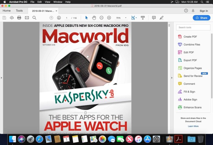 Adobe Acrobat Pro DC 201901220047 Screenshot 02 v5h5g5y