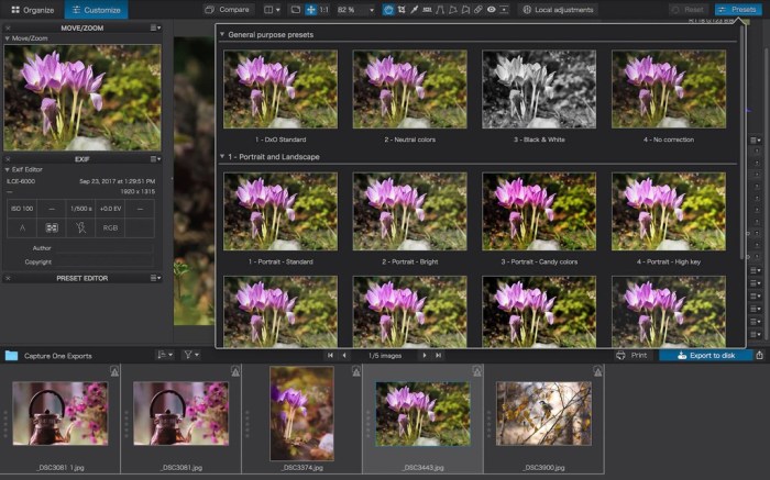 DxO PhotoLab 2 ELITE Edition 23143 Screenshot 01 1gxhezhy