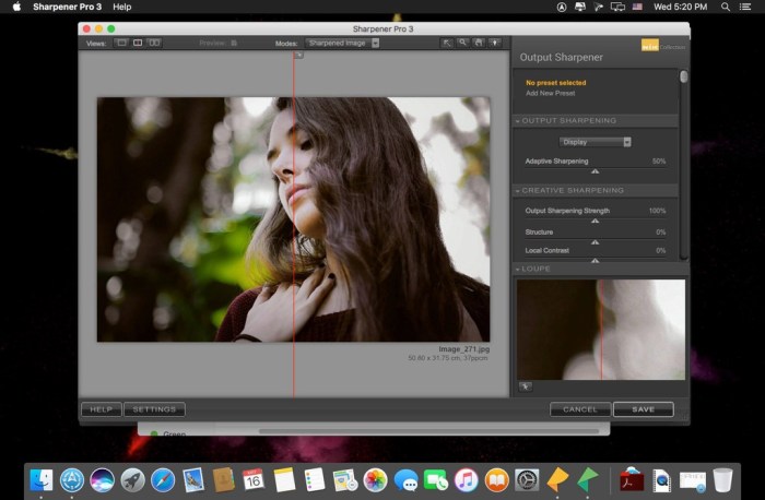 Nik Collection 206 by DxO Screenshot 02 pt53tay