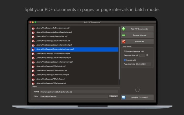 PDF Plus - Merge & Split PDFs Screenshot 02 bnbmwmy