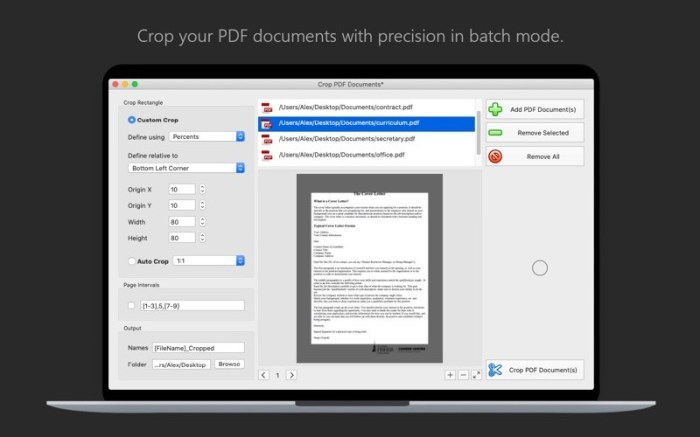 PDF Plus - Merge & Split PDFs Screenshot 03 bnbmwmy