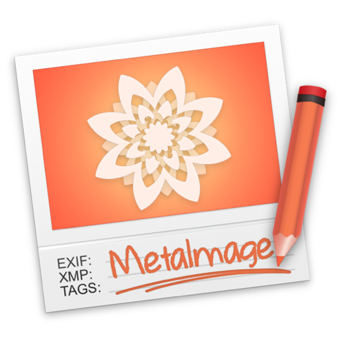 MetaImage icon.png MetaImage icon
